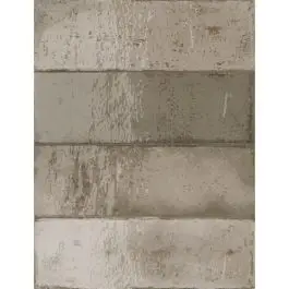 Estudio Amazonia Stone 6,5x20 cm Gecertificeerd