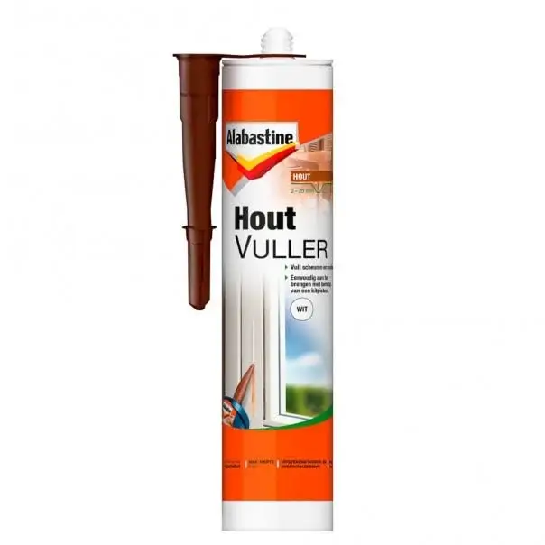 Betrouwbaar Alabastine Houtvuller Koker-485 GR - Wit