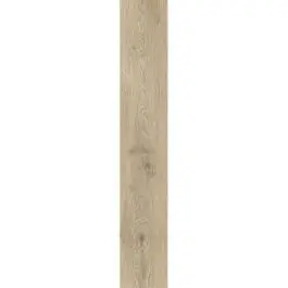Ragno Ossimori Avorio 25x150 cm Rechtstreeks Van De Fabrikant