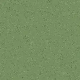 Vives Micra-R Verde 59,3x59,3 cm Finale Uitverkoop