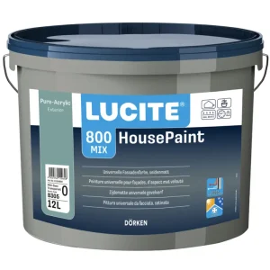 Merkproduct Lucite House-Paint Gevelverf | Zijdematte Verf-1 LTR - Wit (1000T)