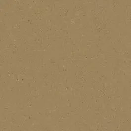 Meest Verkocht Vives Micra-R Siena 59,3x59,3 cm