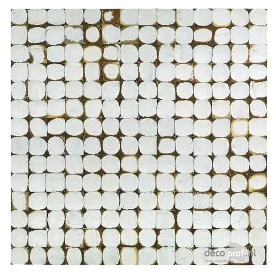 Betaalbaar Nature at Home Bagonjong Coco Patina White-1,058 m² - 6 panelen