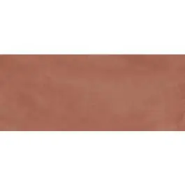 Ergon Pigmento Amaranto 60x120 cm Gecertificeerd