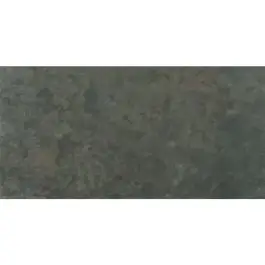 Lage Kosten Aparici Slate Moss 50x100x2 cm