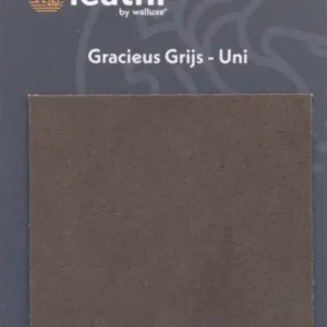 Lage Kosten Walluxe Leathr Gracieus Grijs Uni Proefstaal-1 ST