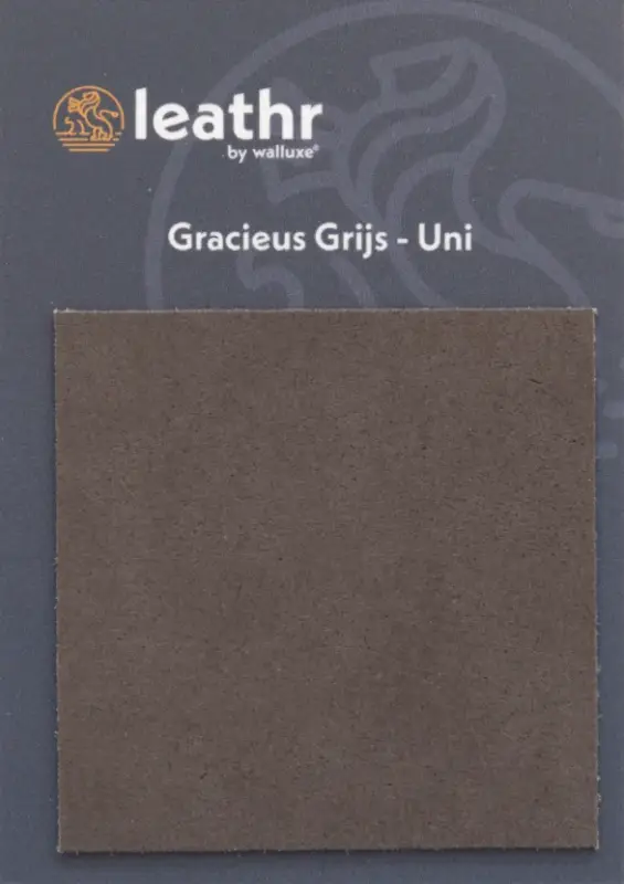 Lage Kosten Walluxe Leathr Gracieus Grijs Uni Proefstaal-1 ST
