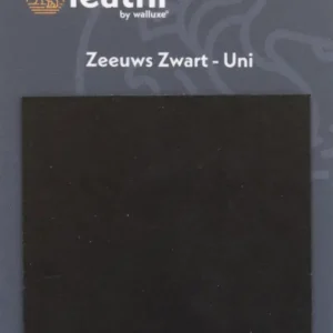 Betaalbaar Walluxe Leathr Zeeuws Zwart Uni Proefstaal-1 ST