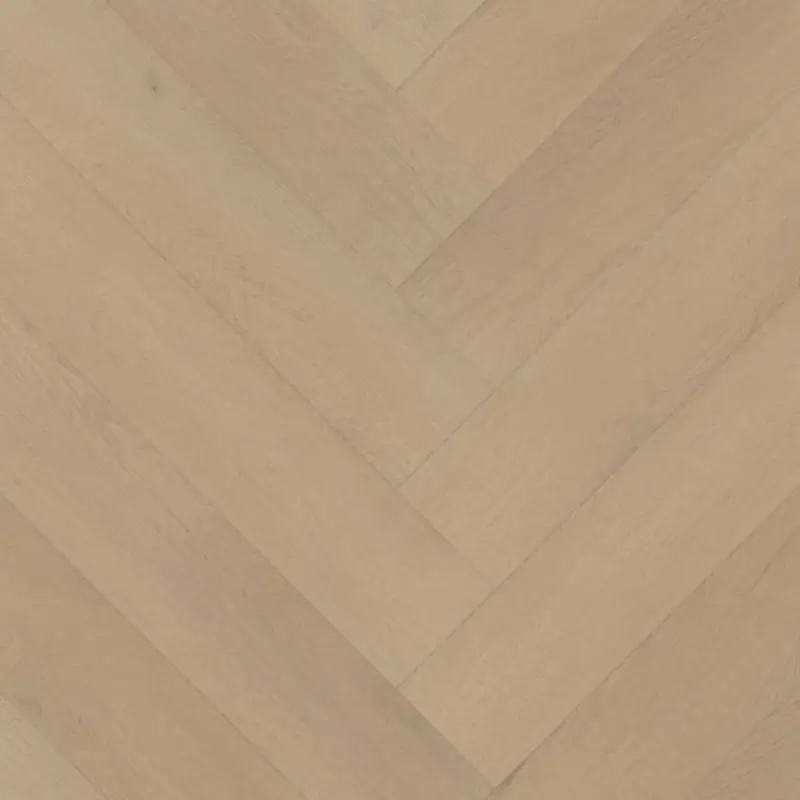 Shop Nu Belakos PALAZZO VISGRAAT XL 77 | RIGID CLICK