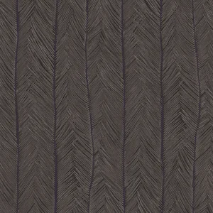 Arte Monsoon 2.0 Itaya Charcoal Gecertificeerd