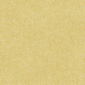Arte Les Thermes Tessera Gold Medaillon Shop Nu