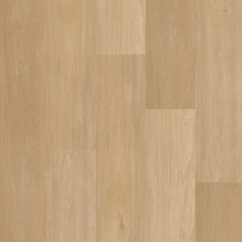 Beperkte Voorraad Therdex CHEVRON 12041