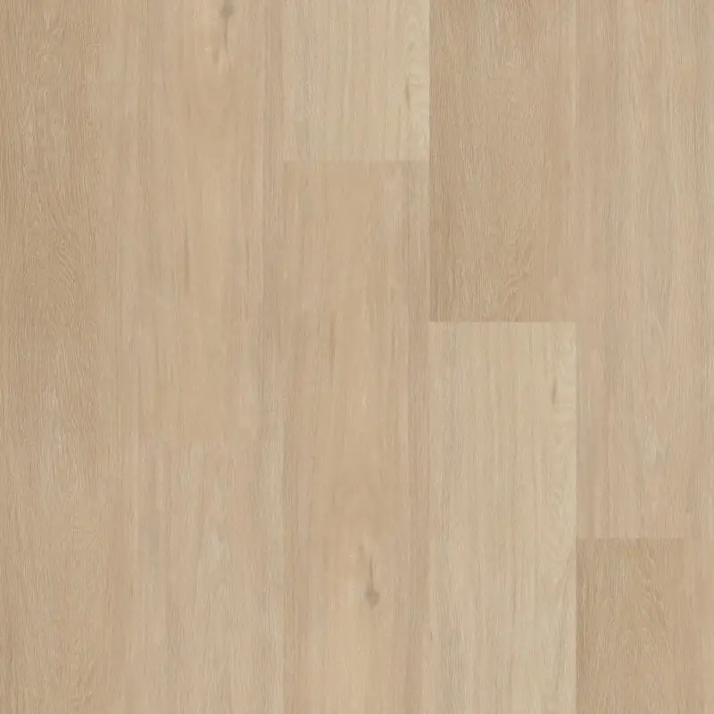 Therdex CHEVRON 12042 Aanbieding