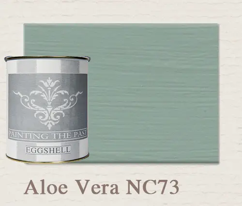 Nu Kopen Painting The Past Eggshell Aloe Vera
