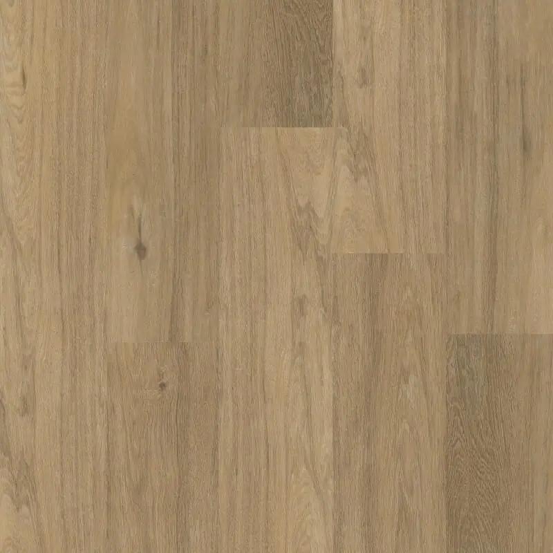 Aanbieding Therdex CHEVRON 12044