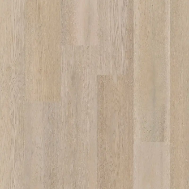 Therdex PREMIER C15083 Aanbieding