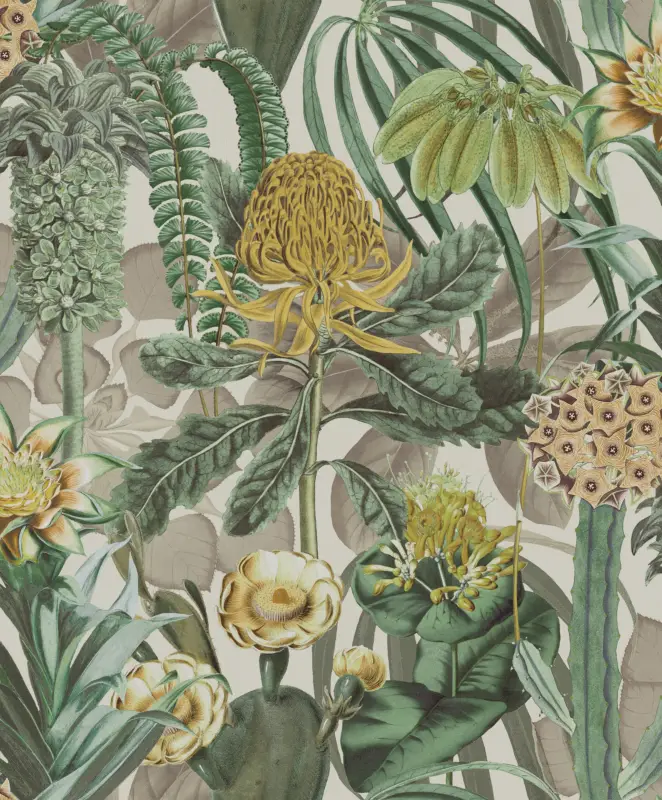Beste Prijs Arte Birds of Paradise The Botanist BOP601