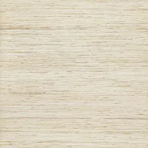Arte Intuition Confident INT211 Premium