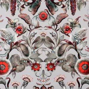 Koop Vandaag Arte Moooi Collection 2024 Coccinella Bella