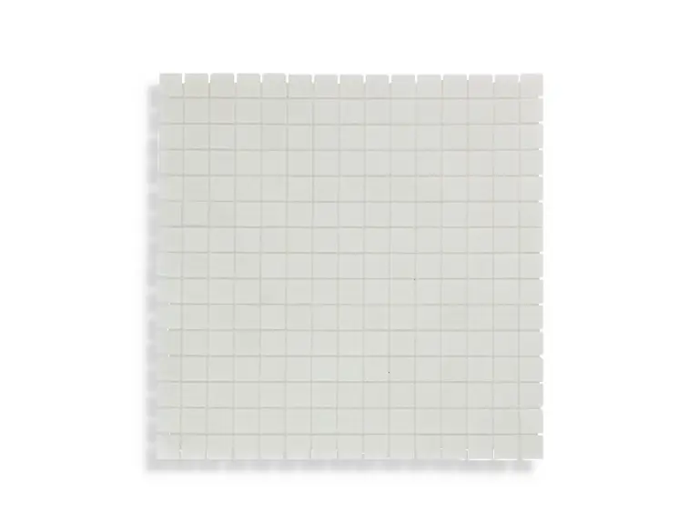 Favoriet mozaiek Wit 32.2 x 32.2