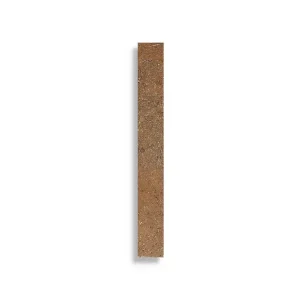 Gereduceerde Prijs plinttegel Bruin 6.5 x 40