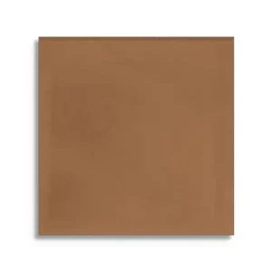 vloertegel Bruin 10 x 10 Must-Have