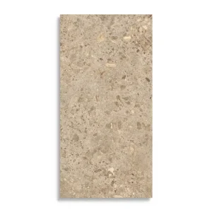 Gecertificeerd vloertegel Bruin 60 x 120