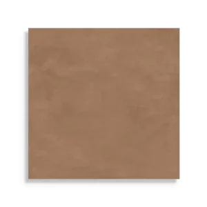 Weekendaanbieding vloertegel Bruin 60 x 60