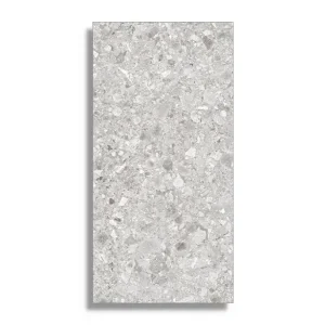 vloertegel Grijs 30 x 60 Must-Have