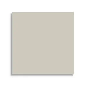 Weekendaanbieding vloertegel Grijs 5.3 x 5.3