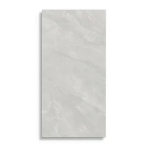 vloertegel Grijs 60 x 120 Goedkoop