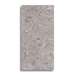 Laatste Versie vloertegel Grijs 60 x 120
