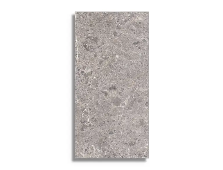 Laatste Versie vloertegel Grijs 60 x 120