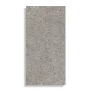 Uitverkoop vloertegel Grijs 60 x 120