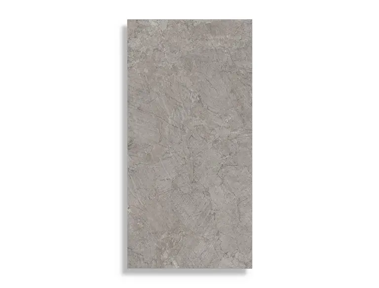Uitverkoop vloertegel Grijs 60 x 120