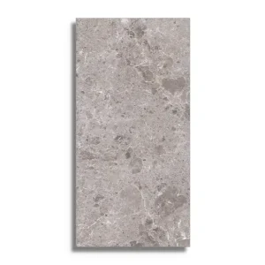 Gecertificeerd vloertegel Grijs 78 x 158