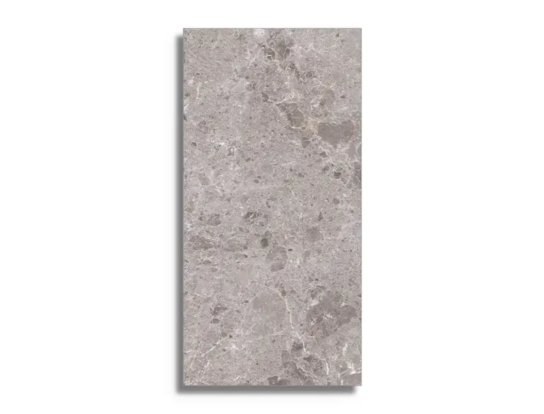 Gecertificeerd vloertegel Grijs 78 x 158