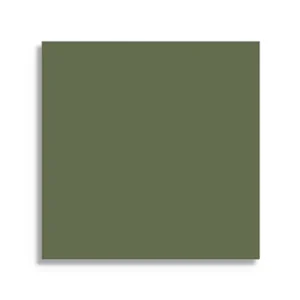 vloertegel Groen 7.5 x 7.5 Koop Online