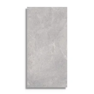Vloertegel Logiker Walk Silver 60 x 120 Hete Deal