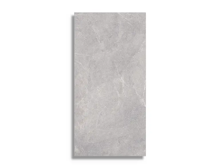 Vloertegel Logiker Walk Silver 60 x 120 Hete Deal