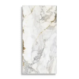 vloertegel Multi 60 x 120 Nieuw