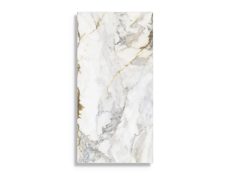 vloertegel Multi 60 x 120 Nieuw
