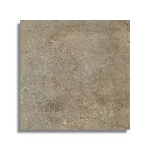 vloertegel Taupe 60 x 60 Direct Verzonden