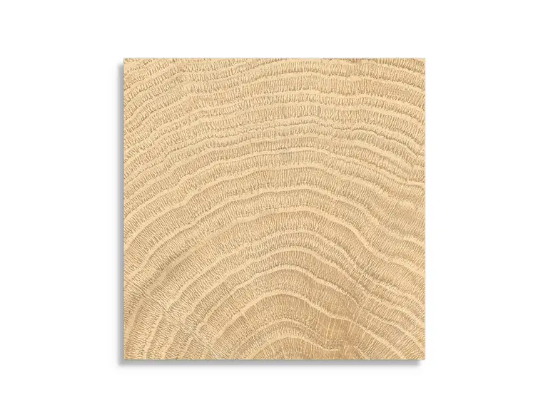 Seizoensaanbieding vloertegel vtwonen Woodcirkle Oak 10 x 10