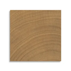 Betrouwbaar vloertegel vtwonen Woodcirkle Walnutt 10 x 10