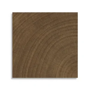 vloertegel vtwonen Woodcirkle Wenge 10 x 10 Gratis Retour