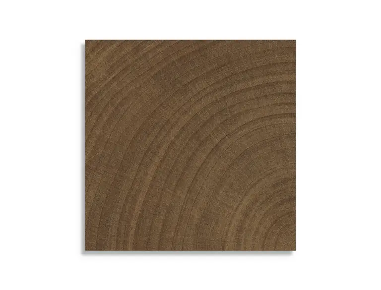 vloertegel vtwonen Woodcirkle Wenge 10 x 10 Gratis Retour