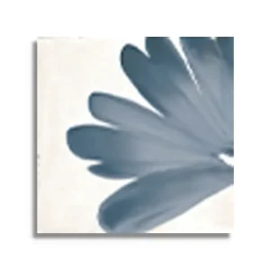 Must-Have vloertegel Wit 15 x 15