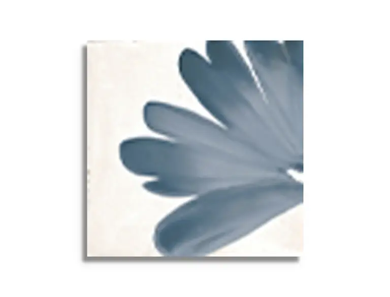 Must-Have vloertegel Wit 15 x 15