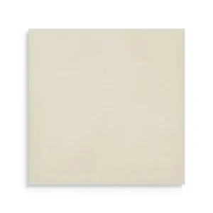 Betrouwbaar vloertegel Wit 20 x 20